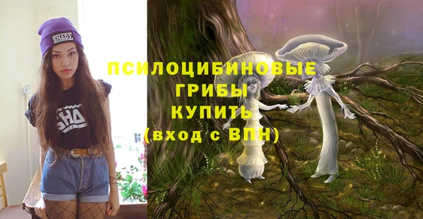 сатива Нязепетровск